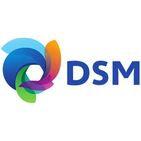 Logo DSM